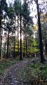 20161113_123600