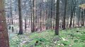 20161113_123618