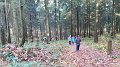 20161113_123931